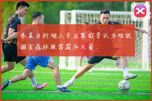 弗莱分析湖人季后赛前景认为难敌掘金森林狼雷霆和火箭
